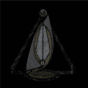 Dephosphorus - Night Sky Transform